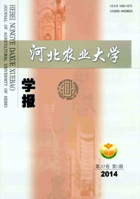 �ӱ��r�I��W�W��