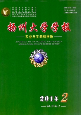 �P(y��ng)�ݴ�W(xu��)�W(xu��)��(b��o)(�r(n��ng)�I(y��)�c�����ƌW(xu��)��)