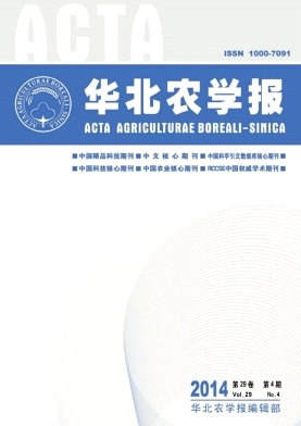 �A���r�W��